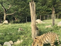 -西安秦岭野生动物园