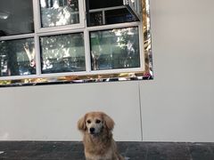 -清真喜兰老丁羊汤特色小吃