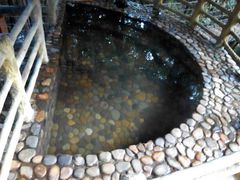 -天门沟九州驿站树上汤泉