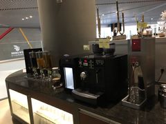 -虹桥机场国航贵宾室v8