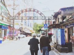 -溪岸路花鸟市场