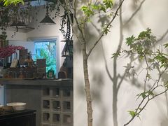 -自由生长植物工作室(深港花卉中心店)