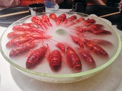 -红盔甲·小龙虾(天钥桥店)