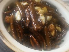 -丁老爷子苏香圆