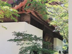 -虎跑公园