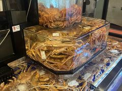 -蟹道乐(道顿堀本店)