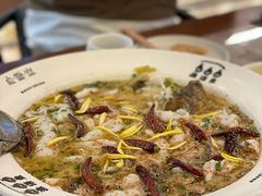 老坛酸菜鲈鱼-渔语鱼新川菜Bistro(万象天地店)