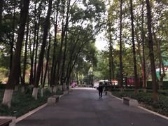 -绵阳人民公园(涪城区)