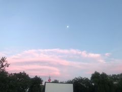 -枫花园汽车电影院(朝阳公园店)
