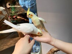 -Zoolung Zoolung动物主题公园(海信广场店)