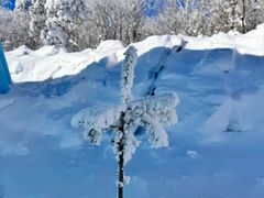 -雪谷
