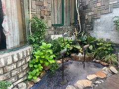 -慢丽江·云南野生菌土鸡锅(付家庄店)