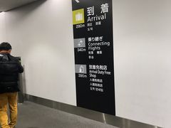 -中部国际机场