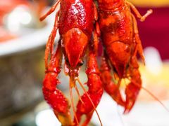 -上海齐鲁万怡大酒店·辣椒屋咖啡厅