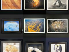 -罗红摄影艺术馆