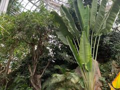 -郑州植物园