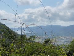 -三亚亚龙湾人间天堂鸟巢度假村