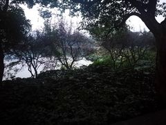 -西湖外事游船(花港观鱼码头)