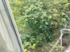 -188西餐厅(园林宾馆店)