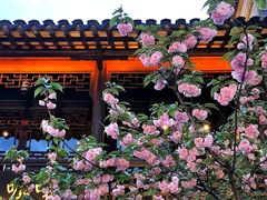 -老门东历史文化街区