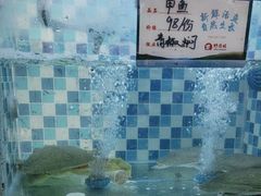 -野渡坡·极致湘菜·庭院餐厅(汉阳店)