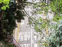 -香港大学