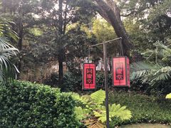 -同庆堂(解放北路店)