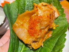 -红辣椒八爪鱼特色韩国料理