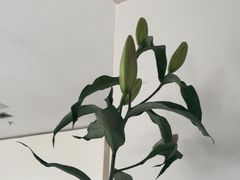 -卡罗酒店(东门晒布地铁站店)