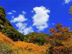 -驼梁风景区