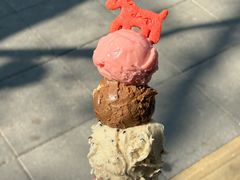 -Dip in Gelato(富民路店)
