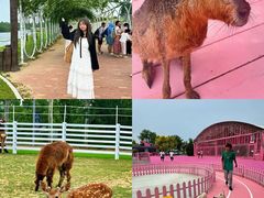 -渔岛海洋度假区