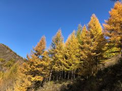 -苏木山森林公园