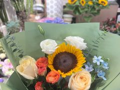 -双季花艺园艺市场(浦东店)