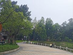 -榴花公园