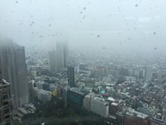 -东京都厅舍