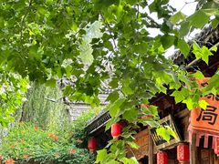 -渭南桃花源民俗文化园