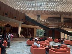 -北京望京凯悦酒店The Lounge大堂酒廊