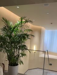 -针美汇欧邦医疗美容