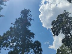 -东天目山风景区