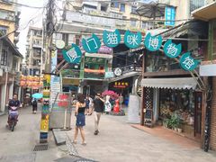 -猫咪博物馆(顶澳仔猫街店)