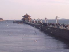 栈桥-栈桥景区