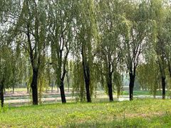 -东坝千亩湖公园