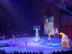 -珠海横琴长隆《卡卡虎奇遇记》