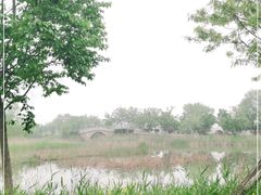 -泗洪洪泽湖湿地景区