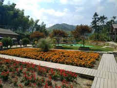 -宁波浙东大竹海景区