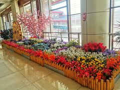 -丽江三义国际机场