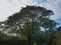 -南沙蒲洲花园