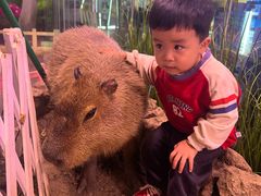 -正佳雨林生态植物园