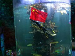 -青岛嘉年华主题乐园